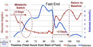 glucose ketones fast mimicking diet 300x151 - Ketosis &amp; Diabetic Ketoacidosis