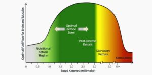 ketosis 300x148 - ketosis