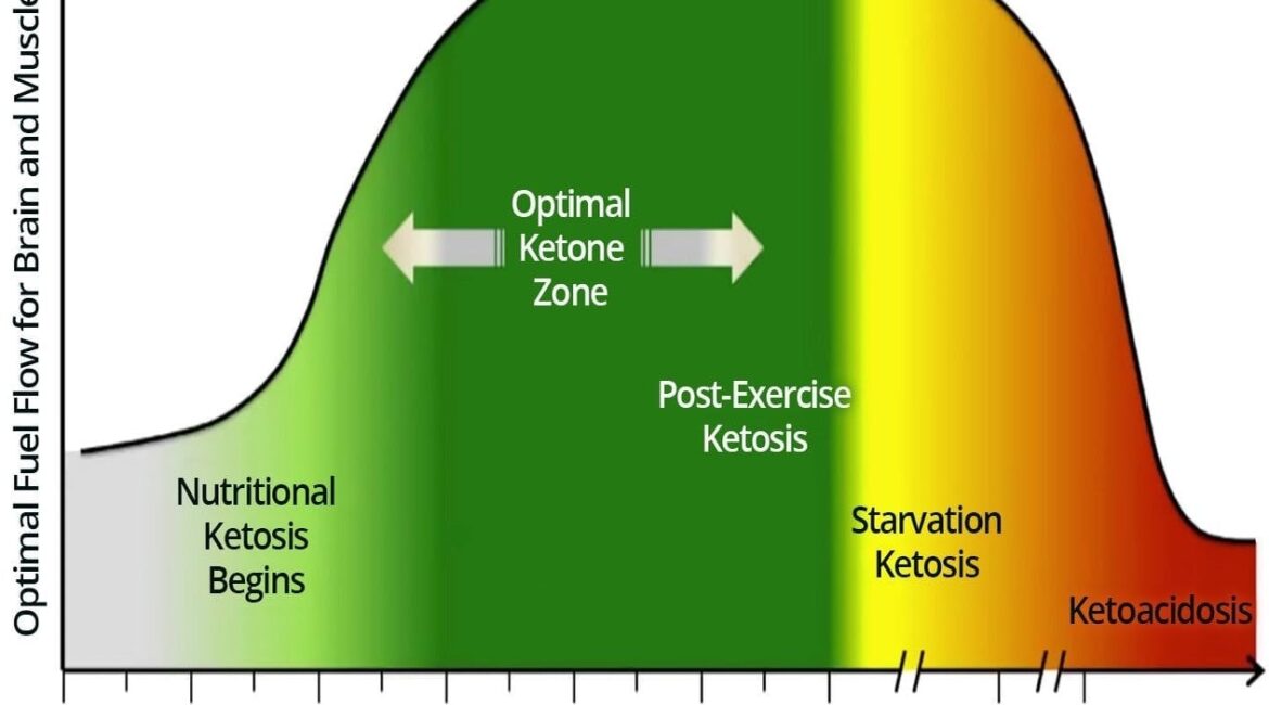 Ketosis Zones 1263x947 1170x650 - Ketosis & Diabetic Ketoacidosis