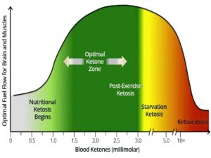 Ketosis Zones 1263x947 300x225 - Ketosis Zones